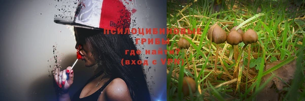 jwh Волосово