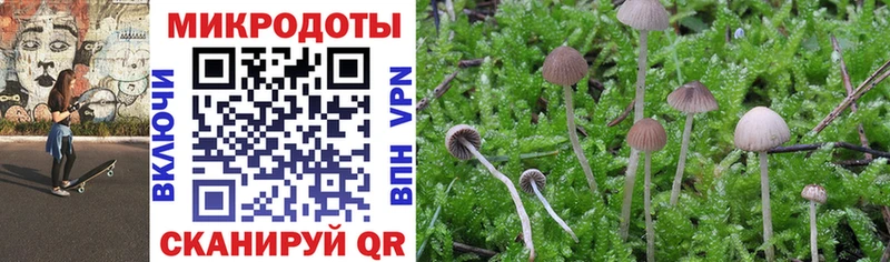 что такое наркотик  Рязань  Галлюциногенные грибы MAGIC MUSHROOMS 
